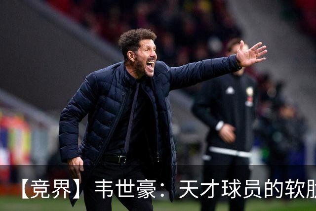 【竞界】韦世豪：天才球员的软肋 洪七公效应的外溢